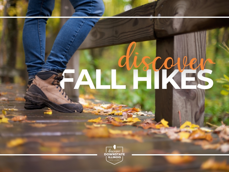 Autumn Adventures: The 6 Best Hiking Spots in South-Central Illinois